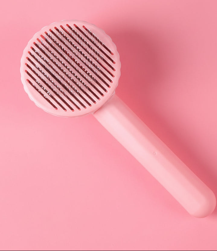 Pluivra Zelfreinigende Kattenborstel – Vachtborstel voor Kat & Hond, Ontharen met Knop