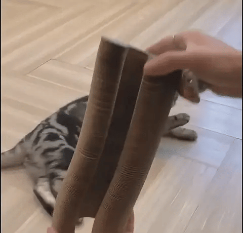 Scratchivo Krabkarton Kat – Kartonnen Krabmat Opvouwbaar Kattenspeelgoed met Bal