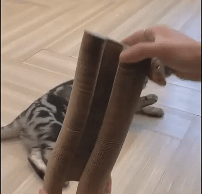 Scratchivo Krabkarton Kat – Kartonnen Krabmat Opvouwbaar Kattenspeelgoed met Bal