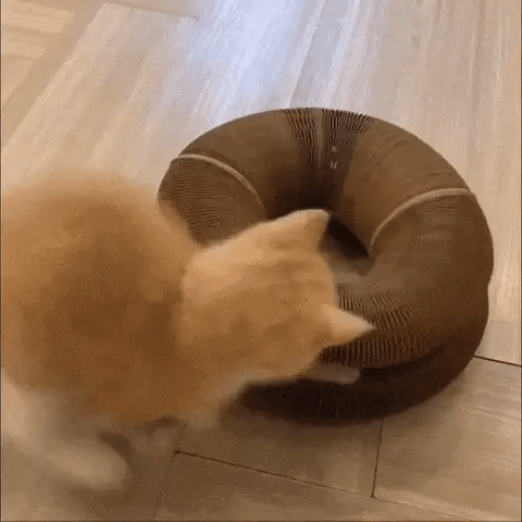 Scratchivo Krabkarton Kat – Kartonnen Krabmat Opvouwbaar Kattenspeelgoed met Bal