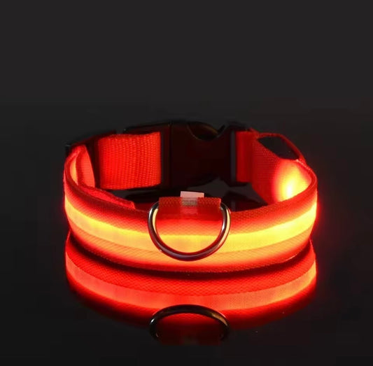 Lumivox LED Halsband Hond & Kat – Lichtgevende Veiligheidsband
