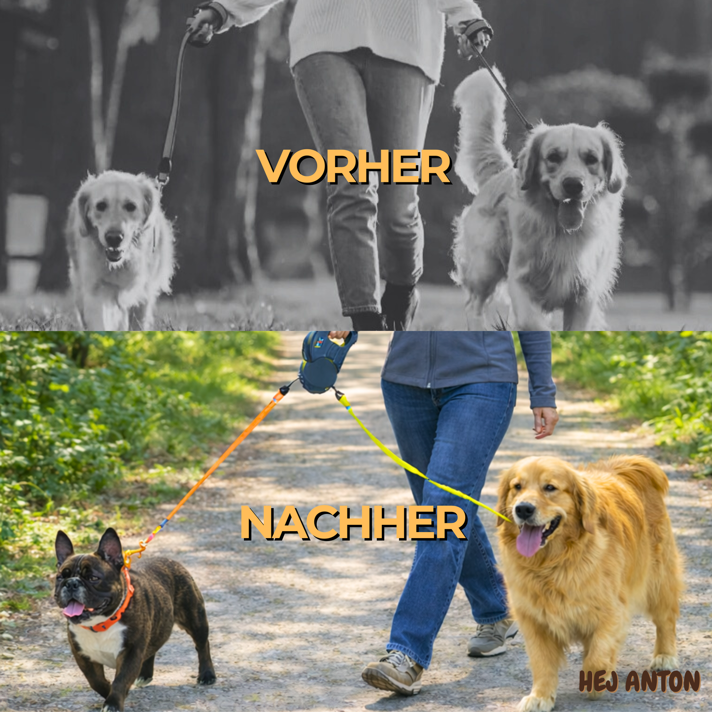 Traxo Dubbele Intrekbare Hondenriem – Uitrolriem Twee Honden LED Licht Poepzakjesdispenser