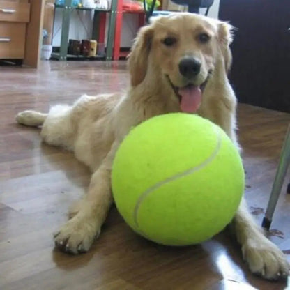Bolvox Reuze Tennisbal Hond – Grote Jumbo Speelbal