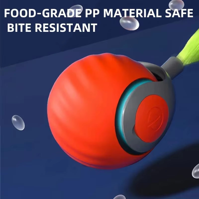 Felitrack Automatische Kattenbal Elektrisch – Interactief Speelgoed Kat met Veren