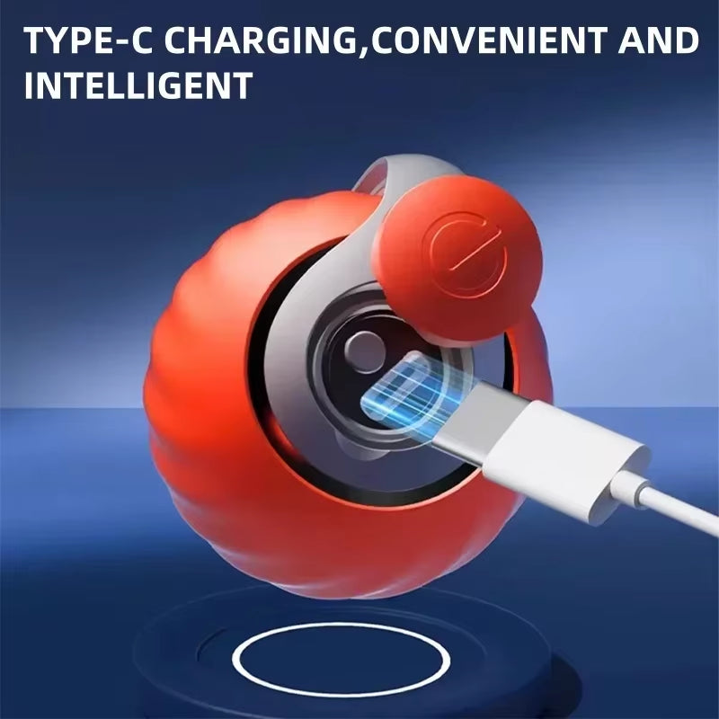 Felitrack Automatische Kattenbal Elektrisch – Interactief Speelgoed Kat met Veren